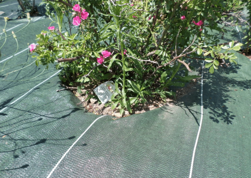 film de paillage 90gr